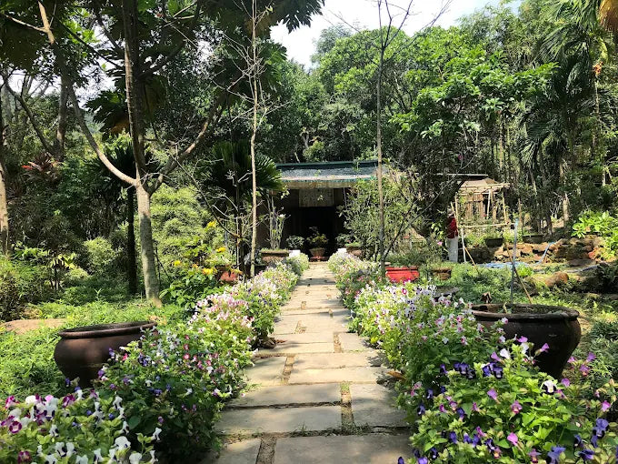 Son Tra Tinh Vien Da Nang