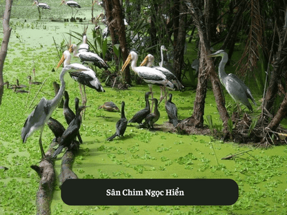 Sân Chim Ngọc Hiển