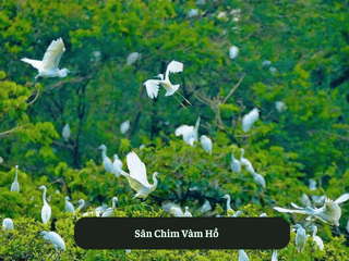 Sân Chim Vàm Hồ