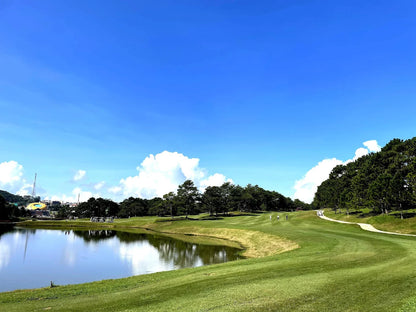 Có thể thuê dụng cụ chơi golf trực tiếp tại sân không?
