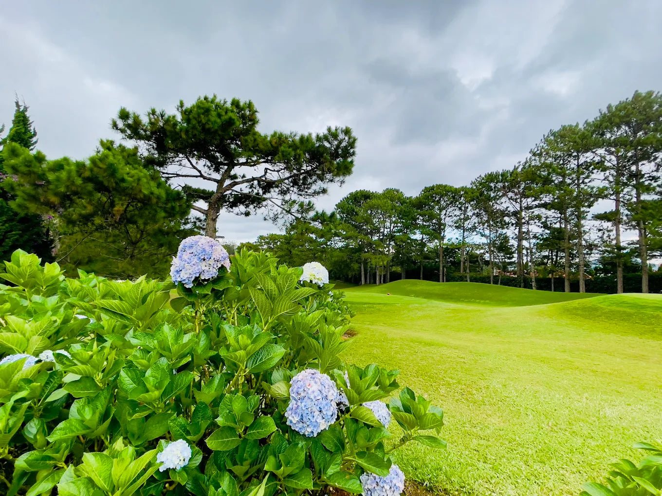 Sân Golf Đà Lạt Palace