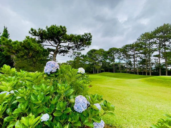 Sân Golf Đà Lạt Palace