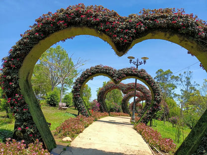 Bảng Giá Chơi Golf Và Chi Phí Dịch Vụ Tham Khảo