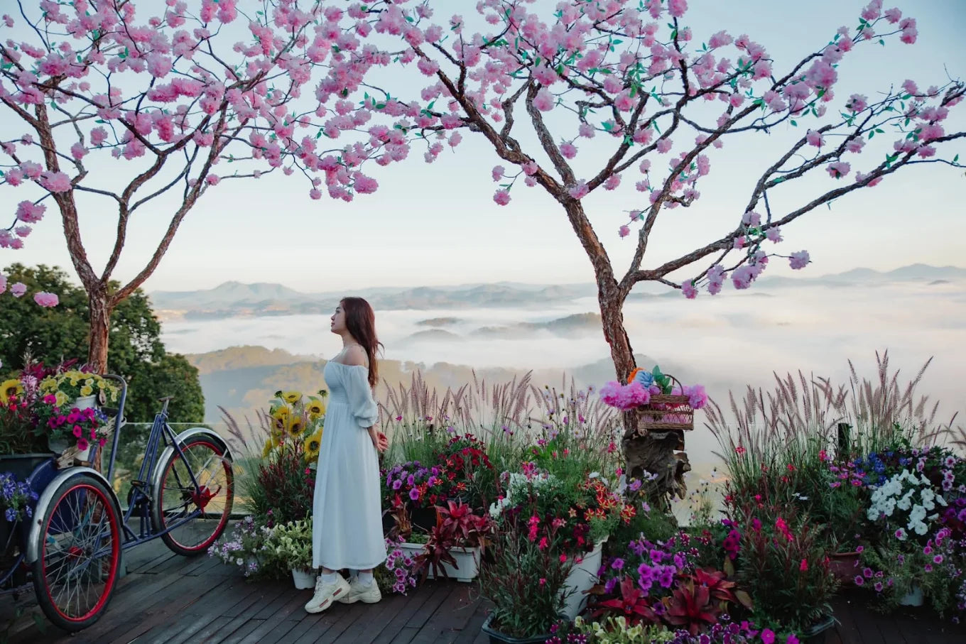 Săn Mây Panorama Cầu Đất Đà Lạt