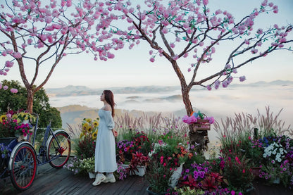 Săn Mây Panorama Cầu Đất Đà Lạt