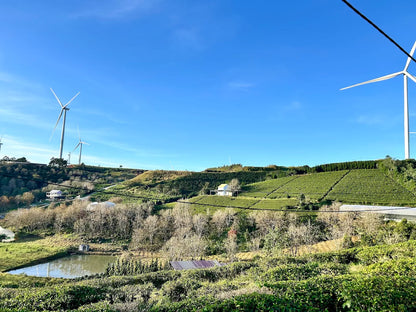 Săn Mây Panorama Cầu Đất Đà Lạt