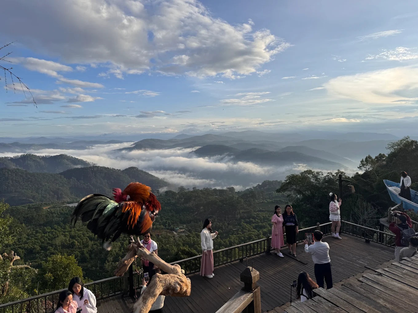 Săn Mây Panorama Cầu Đất Đà Lạt