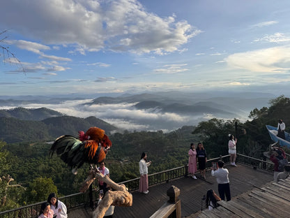 Săn Mây Panorama Cầu Đất Đà Lạt
