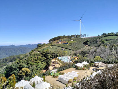 Săn Mây Panorama Cầu Đất Đà Lạt: Chạm Tay Vào Biển Mây Bồng Bềnh