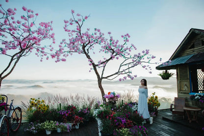 So Sánh Hình Thức Du Lịch Tự Túc Và Trải Nghiệm Cùng Hướng Dẫn Viên Bản Địa