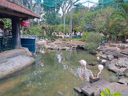 Saigon Zoo and Botanical Garden
