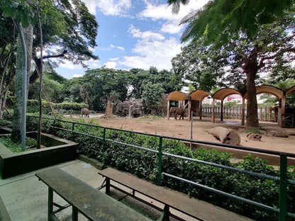 Saigon Zoo and Botanical Garden