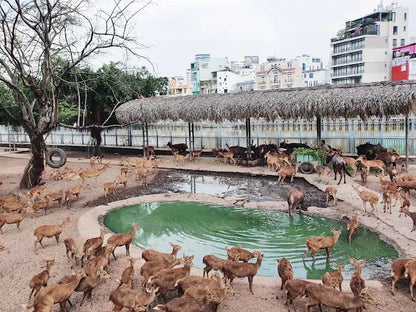 Saigon Zoo and Botanical Garden