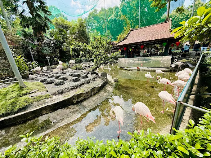 Saigon Zoo and Botanical Garden