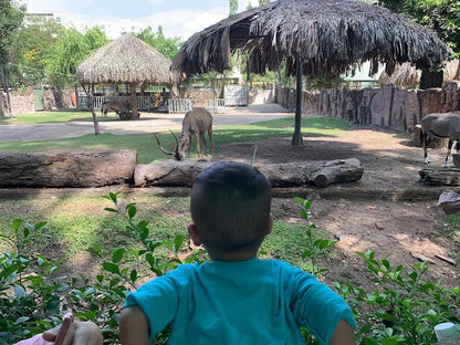 Saigon Zoo and Botanical Garden