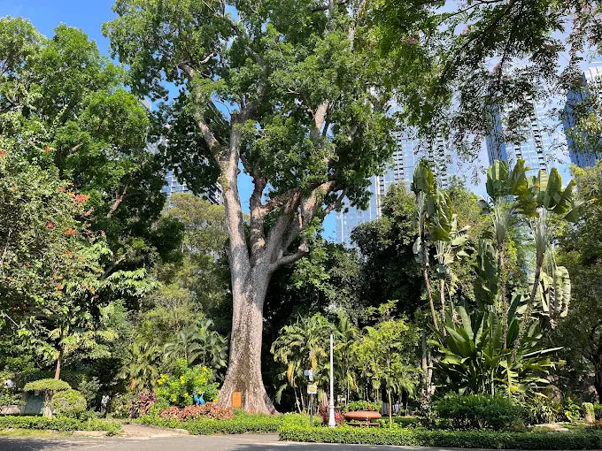 Saigon Zoo and Botanical Garden