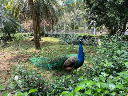 Saigon Zoo and Botanical Garden
