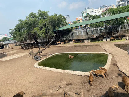 FAQ Về Thảo Cầm Viên Sài Gòn?