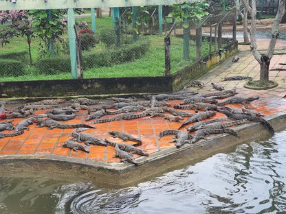 Thác Yang Bay Có Gì Đặc Biệt Để Trở Thành Điểm Đến Không Thể Bỏ Lỡ