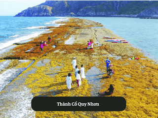 Thành Cổ Quy Nhơn