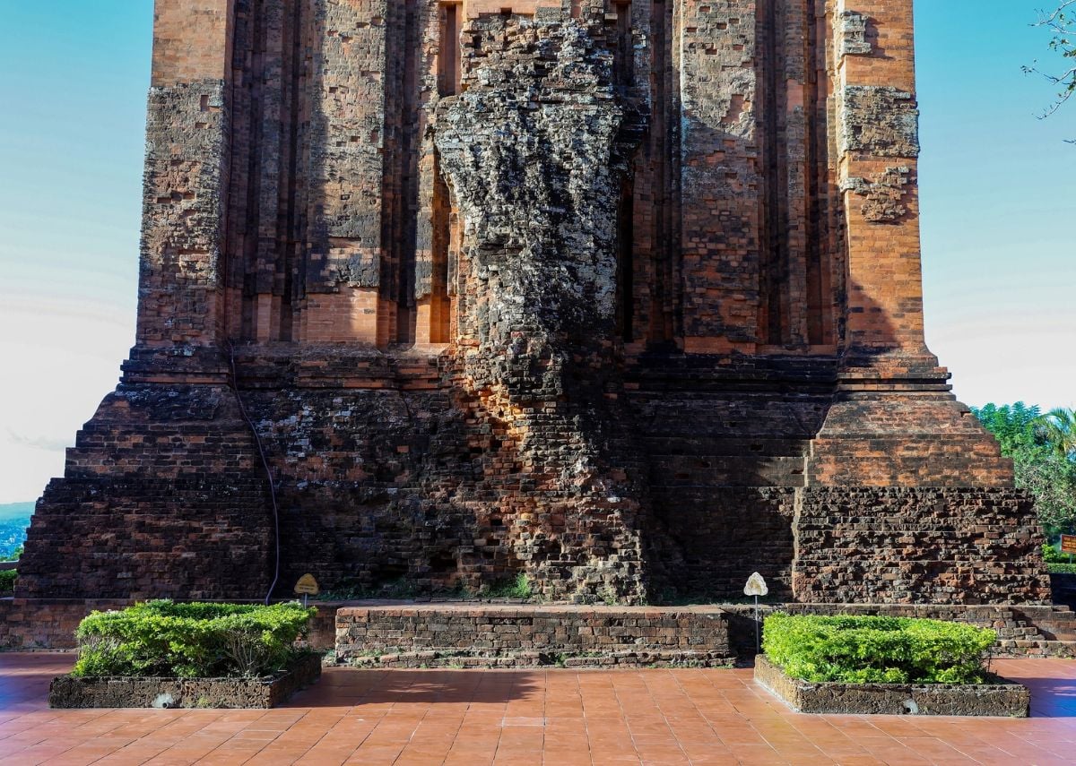 Ẩm Thực Bản Địa: Thiên Đường Hải Sản Đặc Trưng