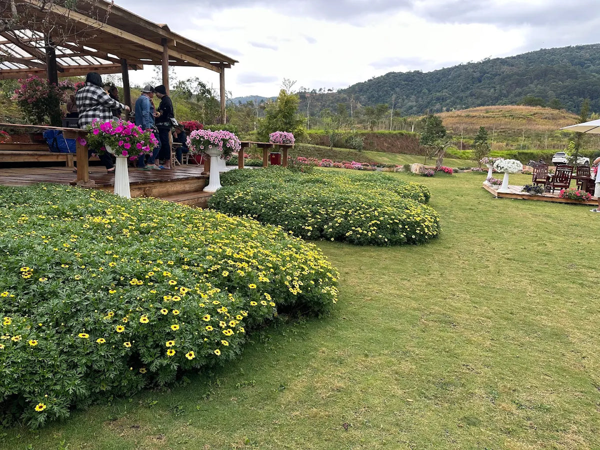 The Florest Hoa Trong Rừng Đà Lạt
