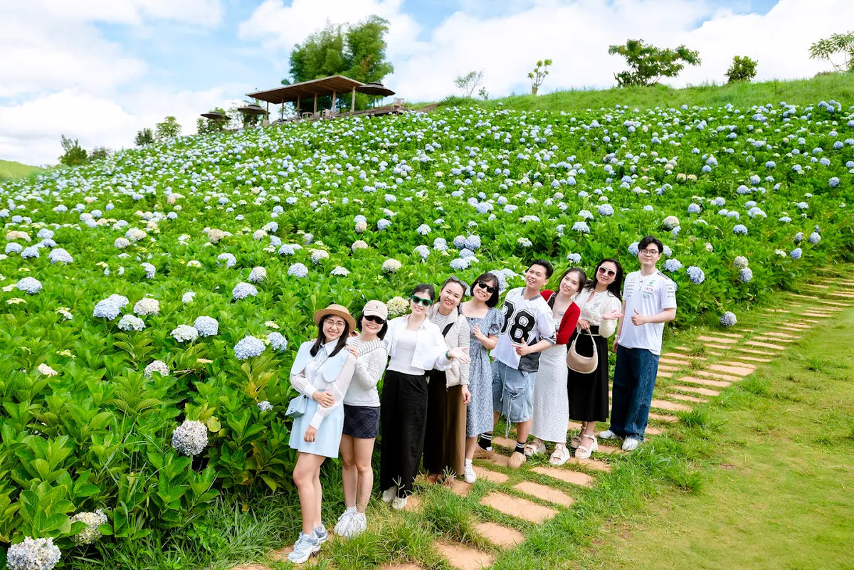Làm thế nào để đặt vé tham quan và dịch vụ xe đưa đón?