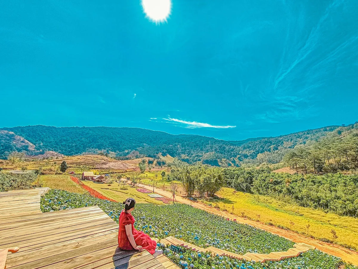 The Florest Hoa Trong Rừng Đà Lạt