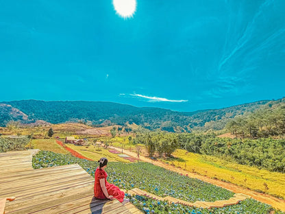 The Florest Hoa Trong Rừng Đà Lạt