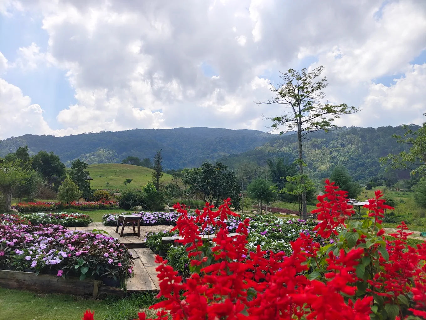 Những Trải Nghiệm Độc Đáo Và Tọa Độ Sống Áo Triệu View