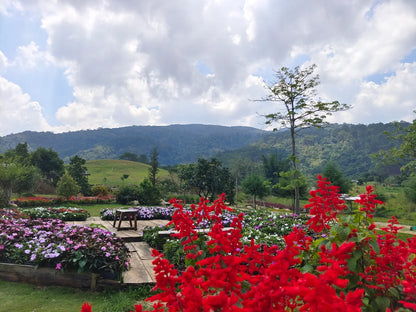 Những Trải Nghiệm Độc Đáo Và Tọa Độ Sống Áo Triệu View