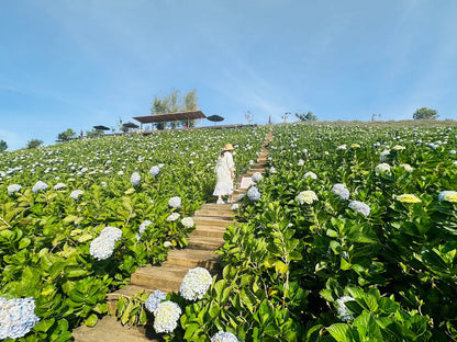 Những Câu Hỏi Thường Gặp Khi Khám Phá The Florest