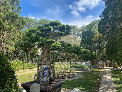 Thiền Viện Trúc Lâm Đà Lạt