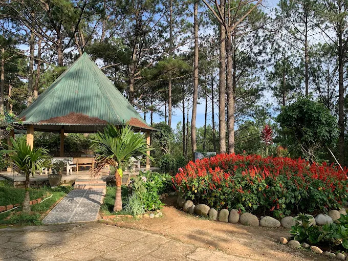 Thiền Viện Trúc Lâm Đà Lạt
