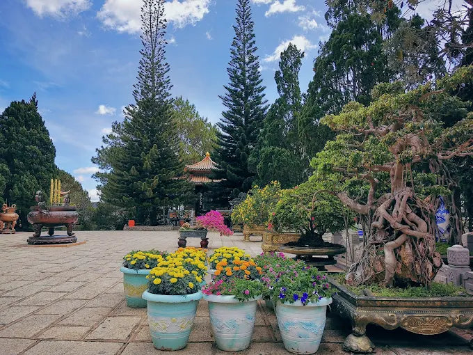 Thiền Viện Trúc Lâm Đà Lạt