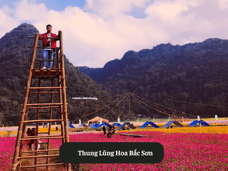 Thung Lũng Hoa Bắc Sơn
