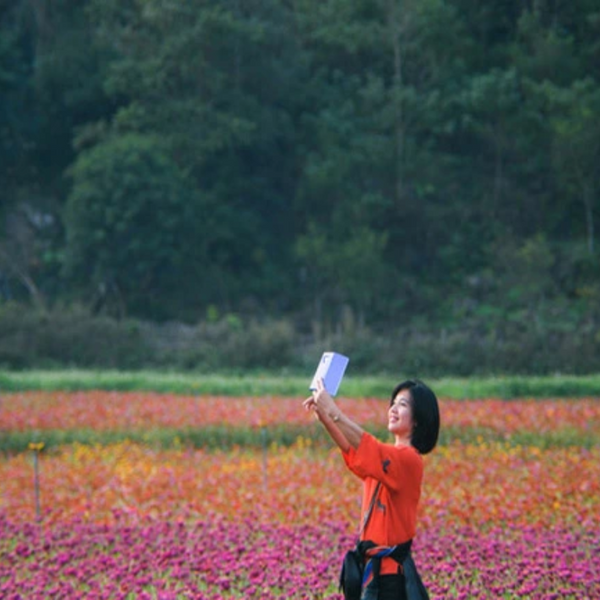 Thung Lũng Hoa Bắc Sơn