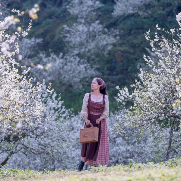 Thung Lũng Mận Nà Ka