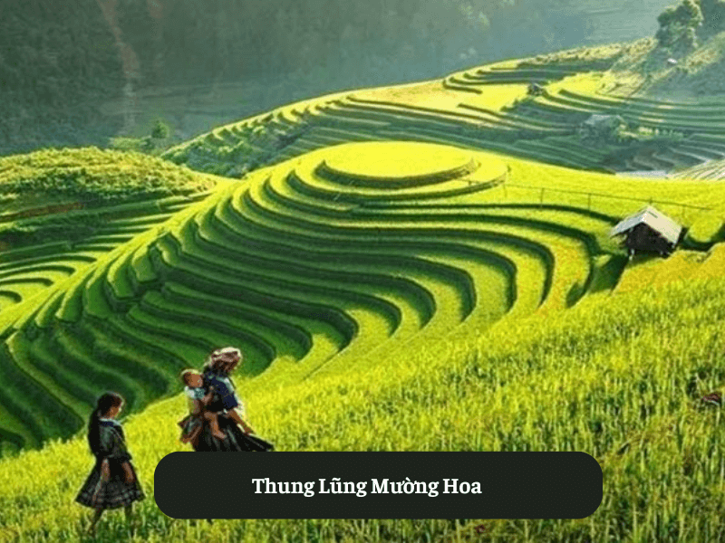 Thung Lũng Mường Hoa