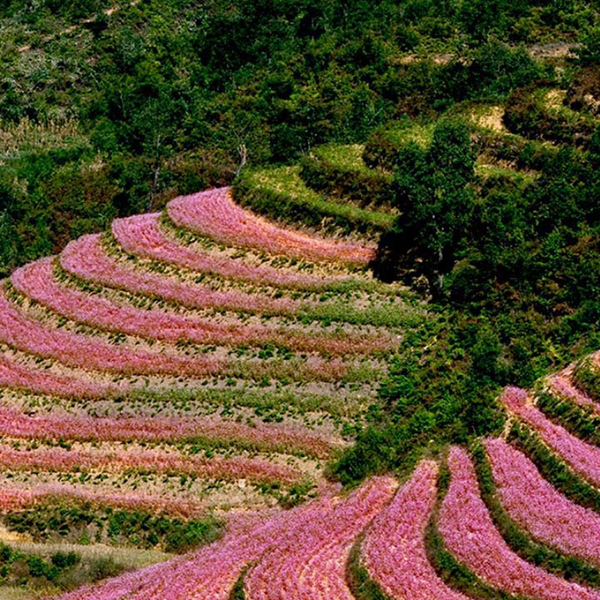 Thung lũng Sủng Là