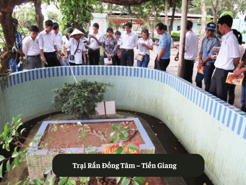 Trại Rắn Đồng Tâm – Tiền Giang