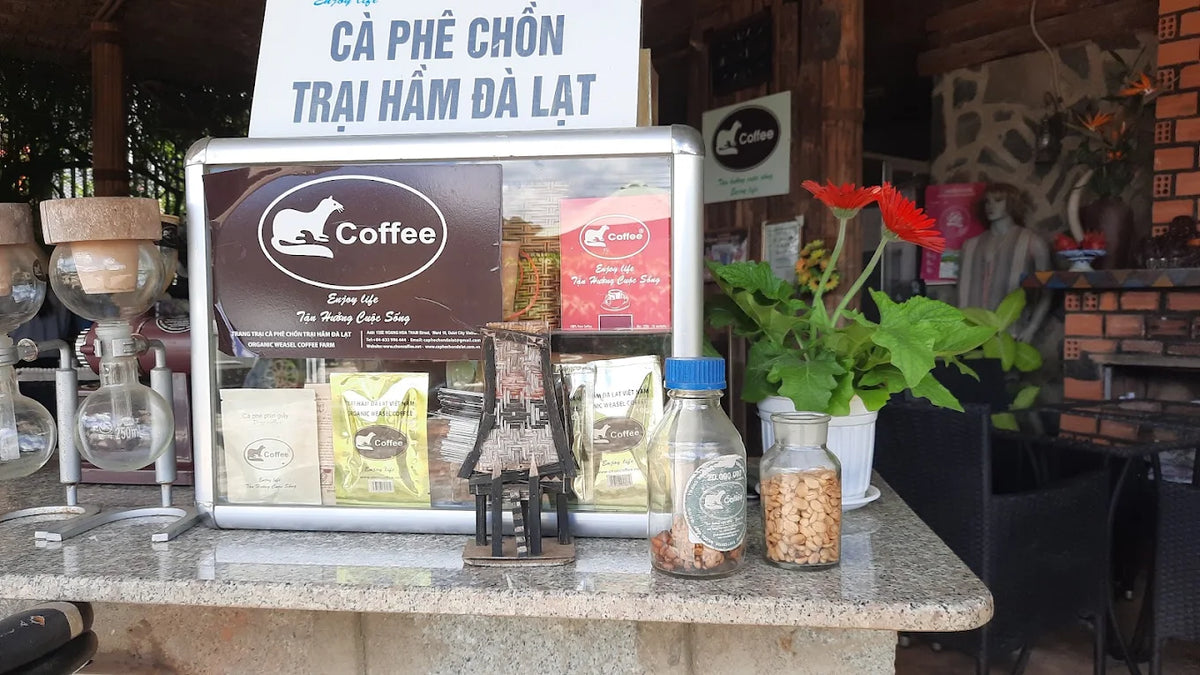 Trang trại cà phê chồn có thu phí vào cổng không?