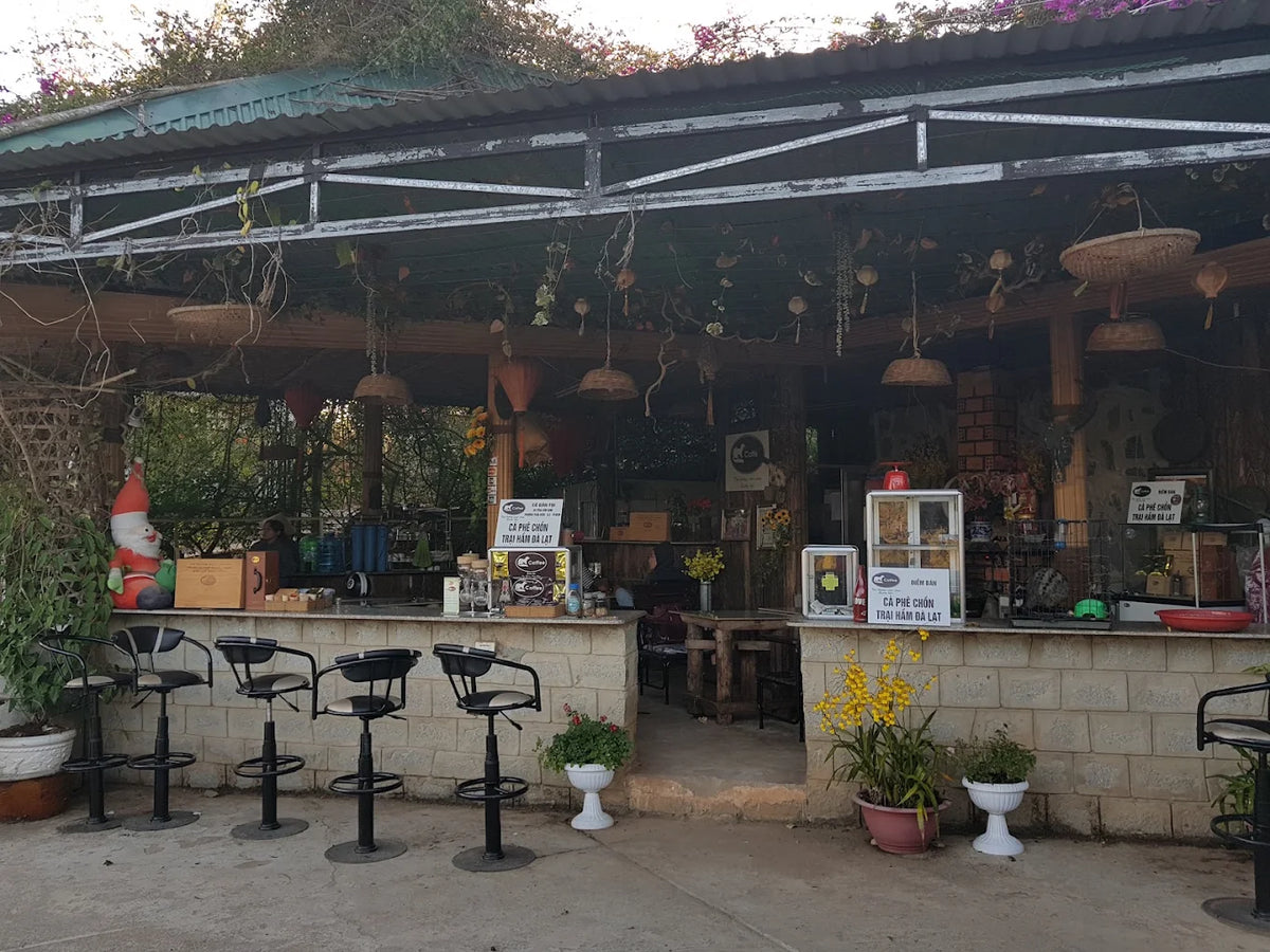 Trang Trại Cà Phê Chồn Đà Lạt