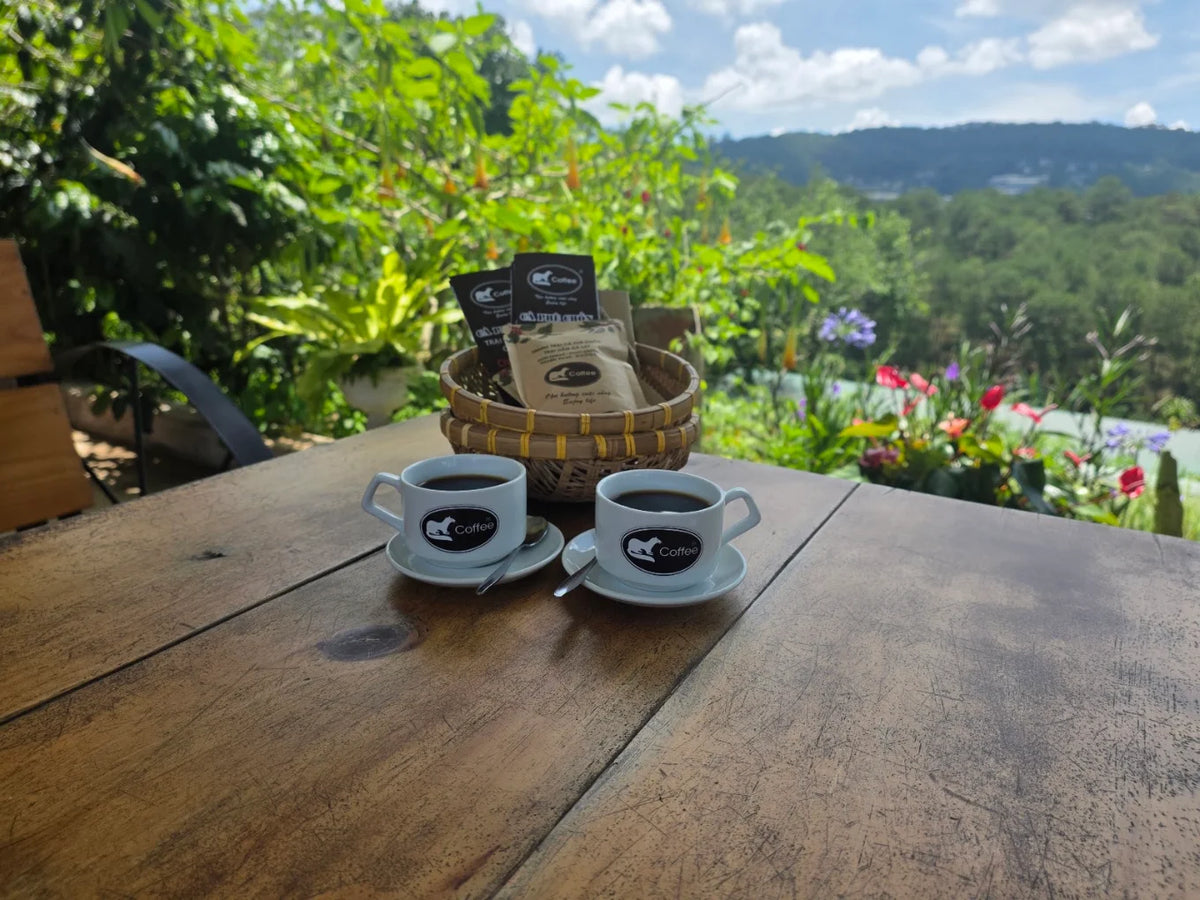 Trang Trại Cà Phê Chồn Đà Lạt