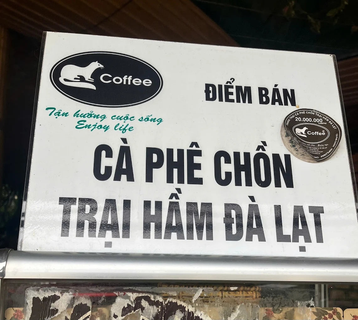 So Sánh Hình Thức Du Lịch Tự Túc Và Trải Nghiệm Cùng Hướng Dẫn Viên Bản Địa