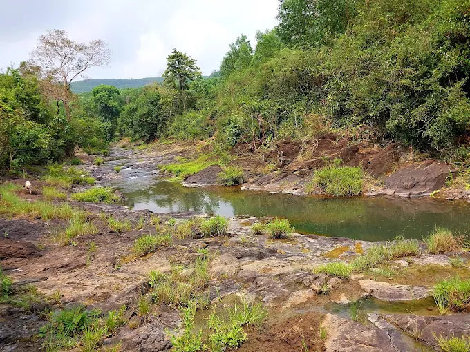 Old Song Phu Yen Gorge (New Dak Lak)