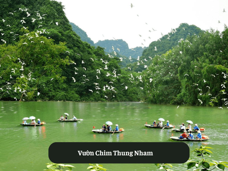 Vườn Chim Thung Nham