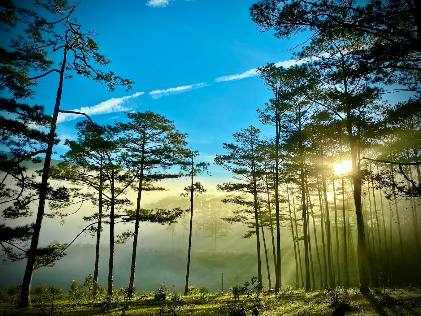 Trekking Bidoup có khó không và có bắt buộc phải có hướng dẫn viên không?