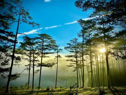 Trekking Bidoup có khó không và có bắt buộc phải có hướng dẫn viên không?