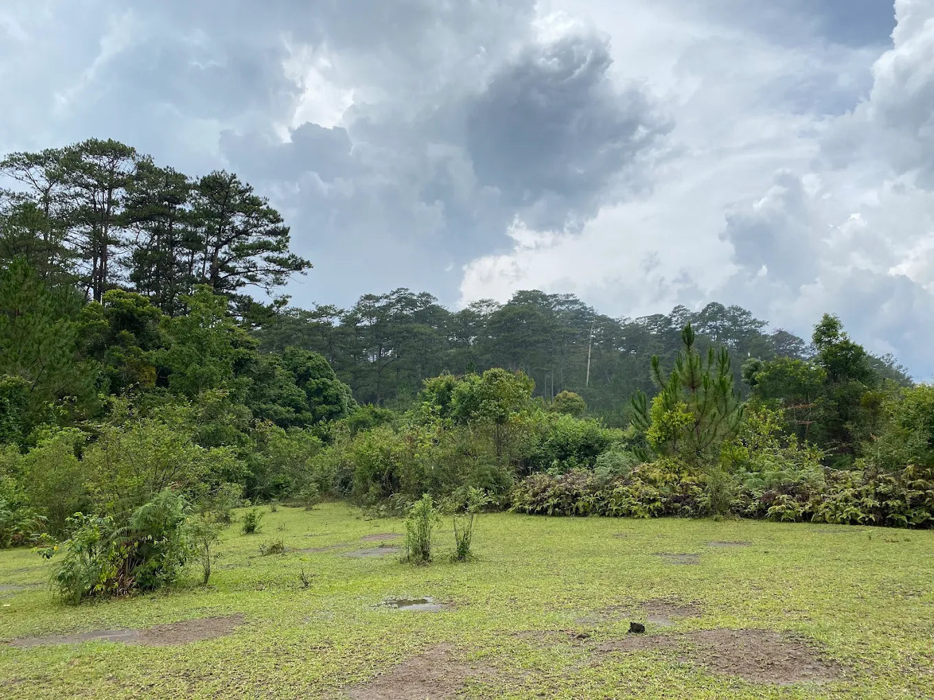 Thời điểm nào trong năm là lý tưởng nhất để trekking Bidoup?